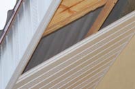 rated Ditton Green soffit repair companies